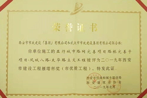 雁塔杯獎(jiǎng)-鳳八立交